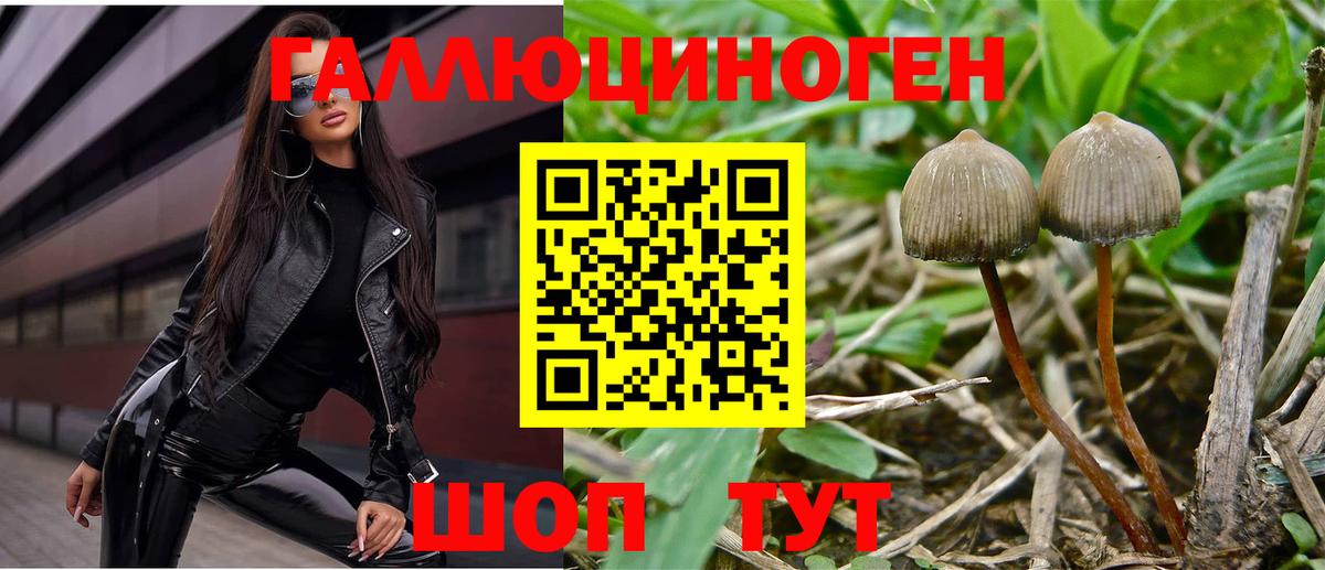наркота  Галлюциногенные грибы ЛСД  Вход с VPN  Кубинка 