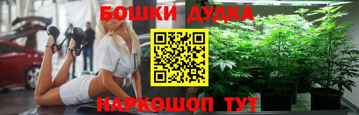 Бошки Шишки Bruce Banner  Вход с VPN  Шишки марихуана индика  Марихуана семена  Кубинка  Канабис марихуана 